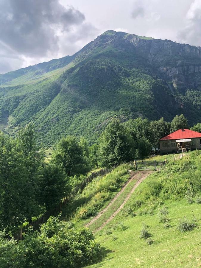 Guest House Malkhaz Niguriani Zhabeshi Buitenkant foto